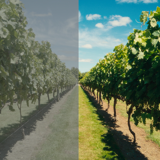 Cinematic Travel LUTs for Filmmakers